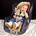 Infant Seat Covers