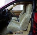 Auto / Truck / SUV Seat Covers