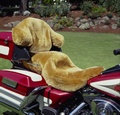 Motorcycles Seat Covers